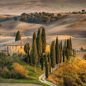 Arezzo Dream Home Fund