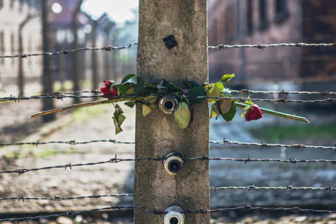 Memorial and Museum Auschwitz-Birkenau Tour & Krakow Transfer