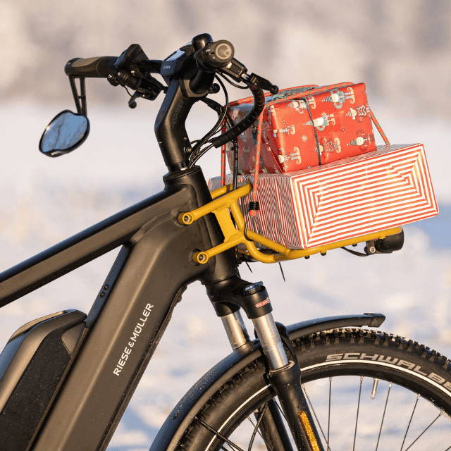 Riese and Muller electric bike