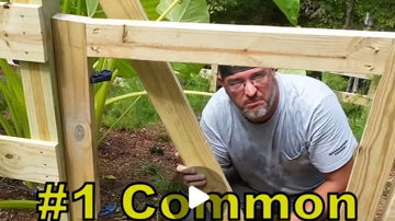Main Content Image