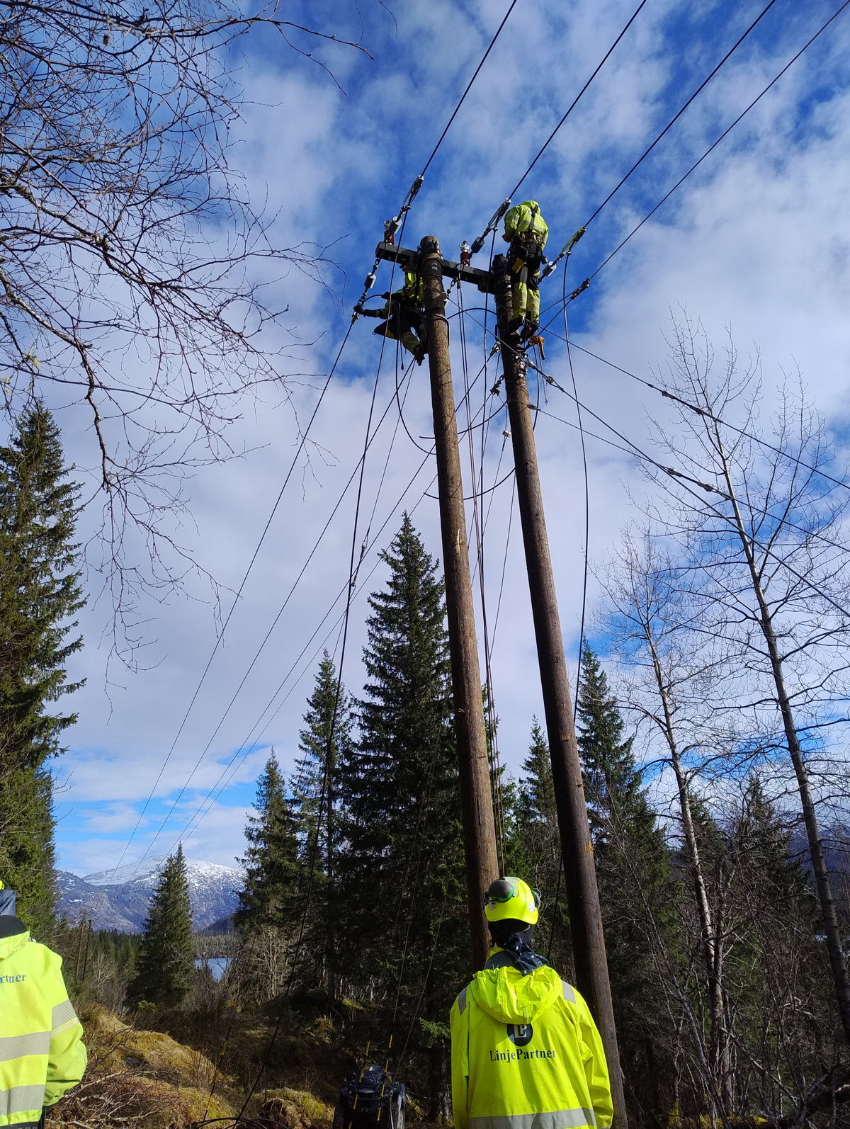 Avgreining Hegge-Dyrnes-Istervika,