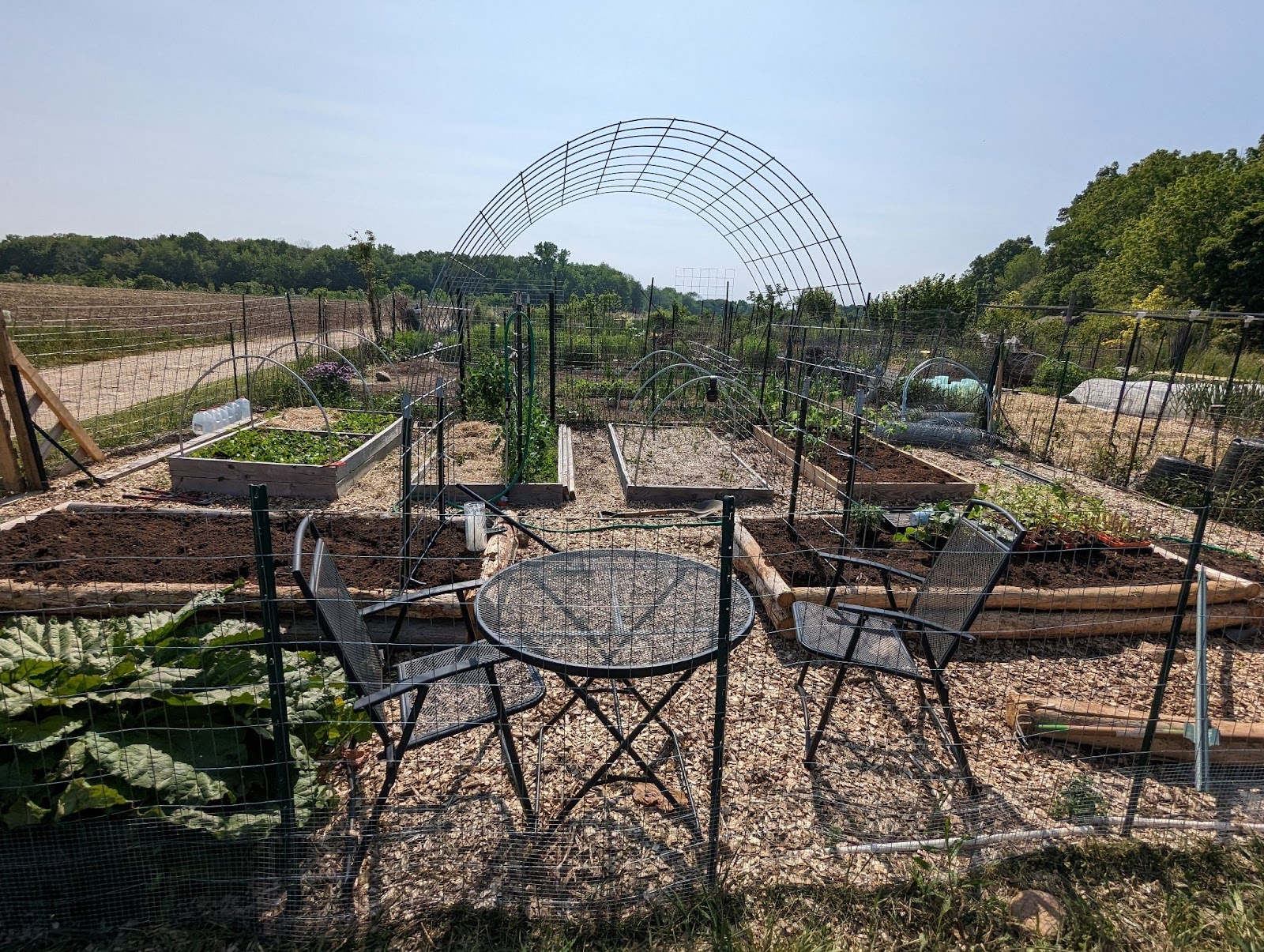 A view of Peter's community garden plot with several garden beds, a trellis, and a table and chairs