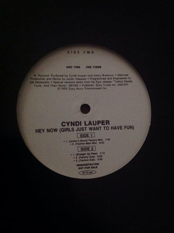 Cyndi Lauper - Hey Now(Girls Just Want To Have Fun) Epi...