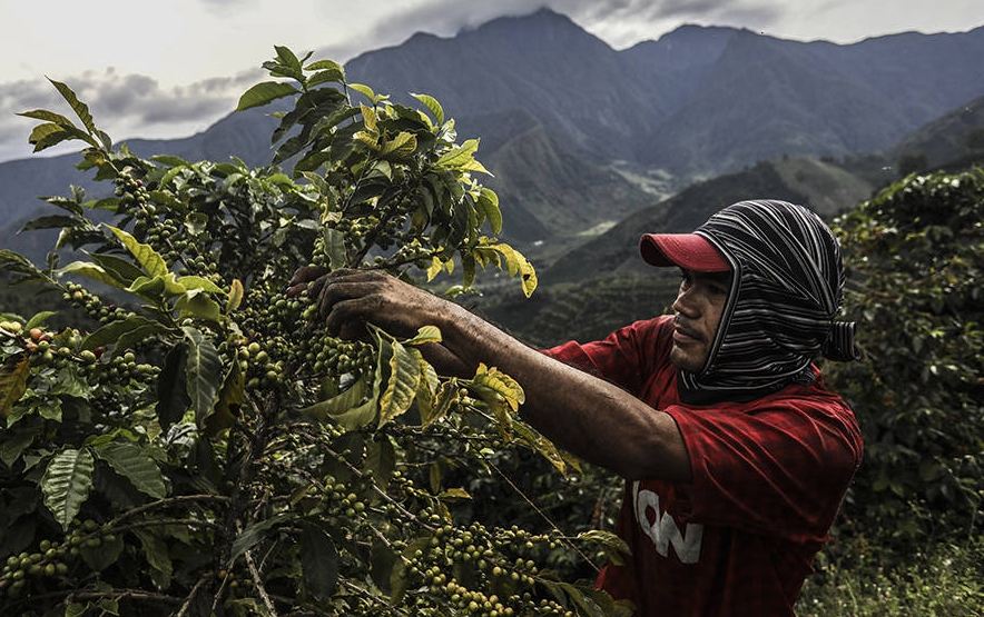 Coffee Plus HFO - Voucher - Image 8