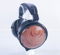Audeze LCD-XC Planar Headphones; African Bubinga; Lambs... 2