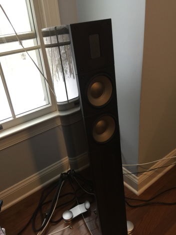 Raidho XT-2 Floor Standing Speakers Gloss Black (Purest...