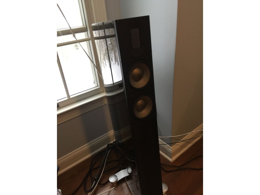 Raidho XT-2 Floor Standing Speakers Gloss Black (Purest Sound and Super Looking)