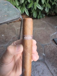 Cigar Session Photo