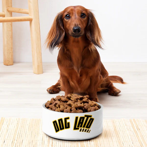 Doglato Pet Bowl