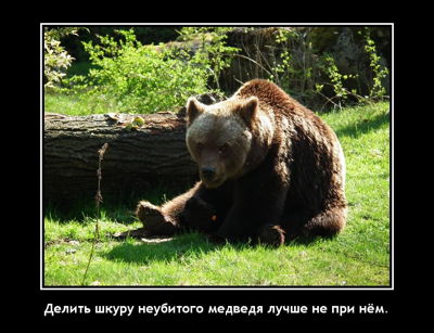 Делить шкуру неубитого медведя лучше не при нём.