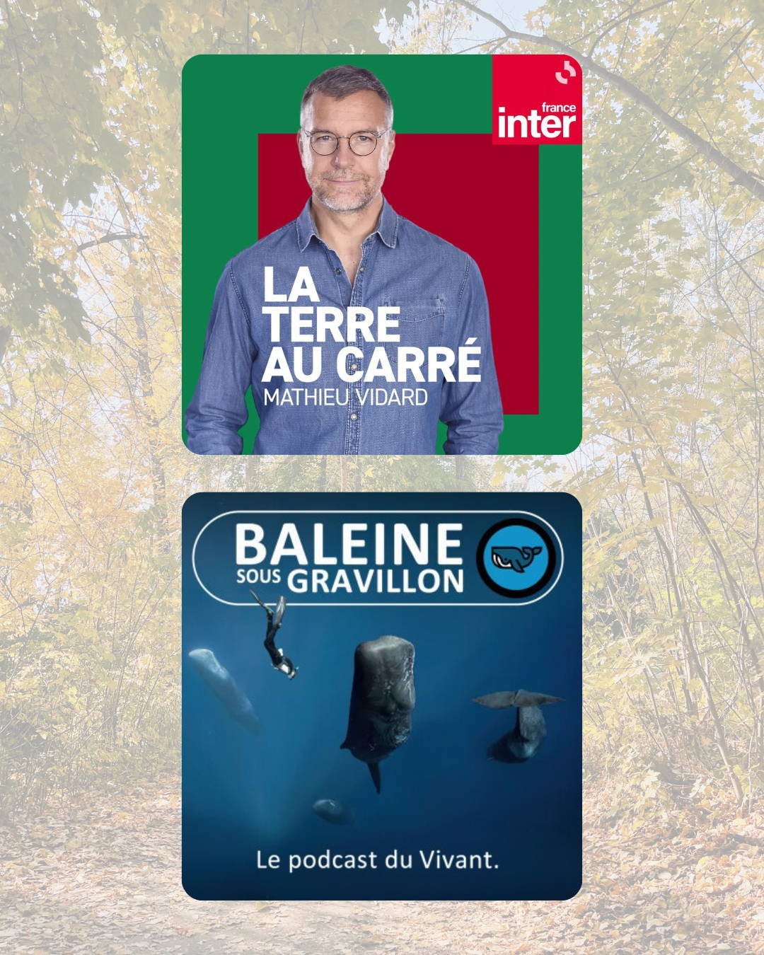 automne - paysage - roadtrip - van aménagé - indispensable - guirlande