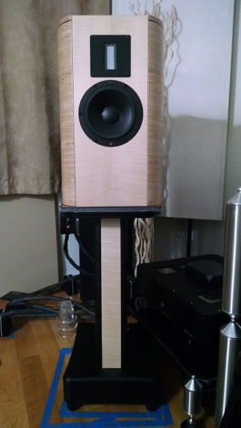 Vapor Audio Cirrus speakers