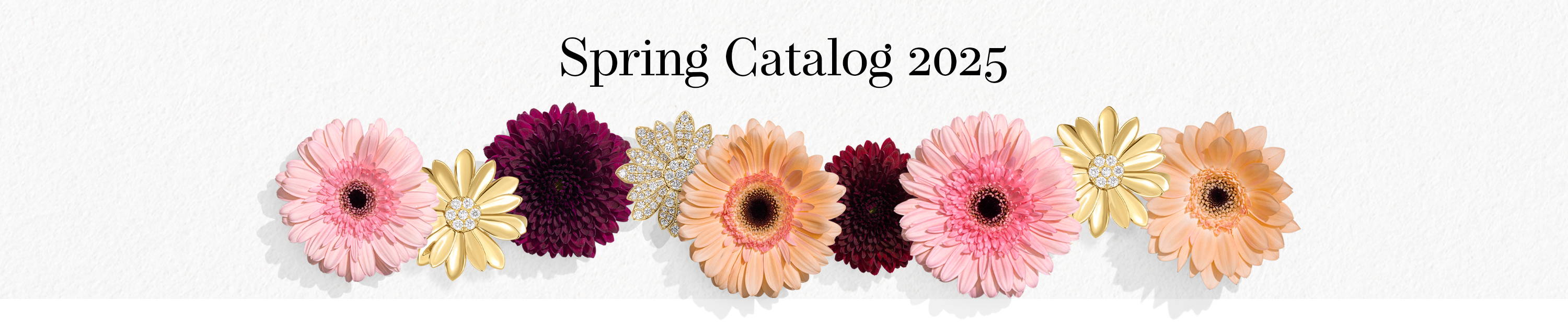 2025 Spring Catalog Banner 2025 Spring Catalog Banner