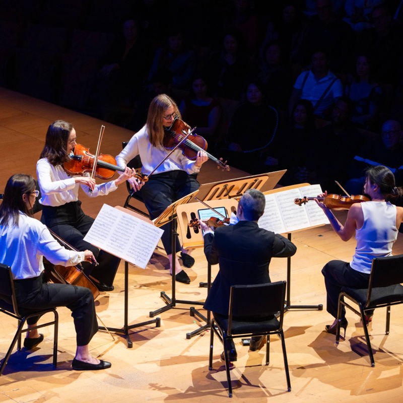 Poster for Chamber Music &amp; Wine