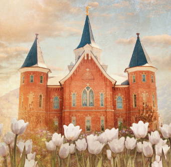 Provo City Center Temple picture with white tulips in the forefront. 