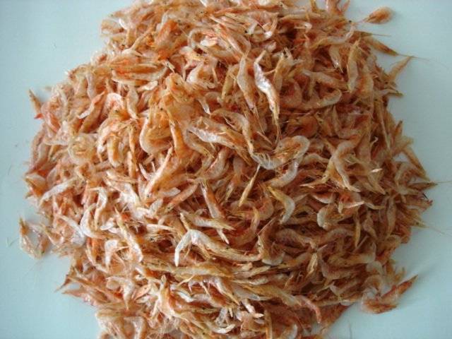 dehydrated shrimps for dogs.jpg