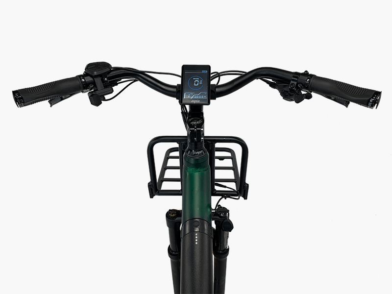 Swept-back handlebars and relaxed geometry place the rider in a comfortable, upright position.