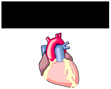 تخطيط القلب الطبيعي مقابل AFib ECG