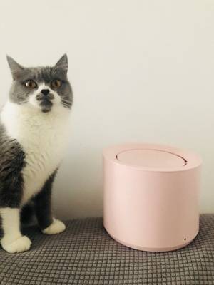 Petree Automatic Cat Water Fountain Dispenser