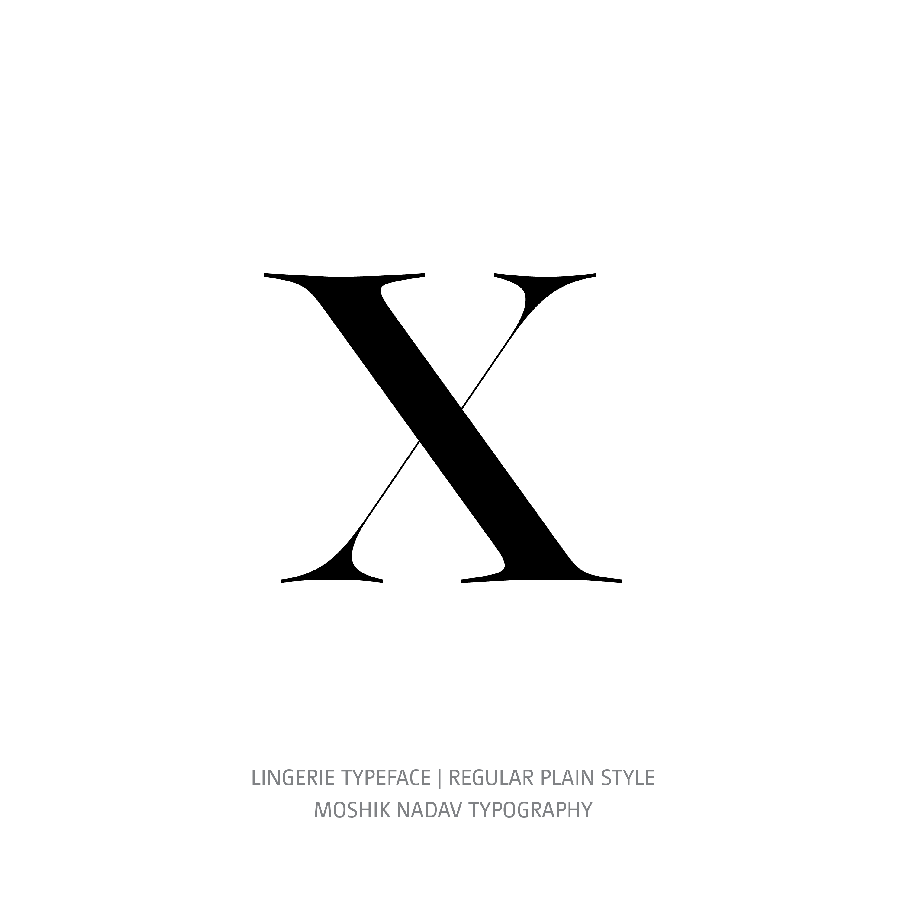 Lingerie Typeface Regular Plain x
