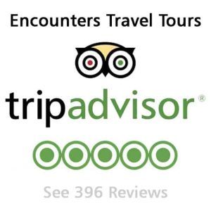 Tripadvisor Reviews