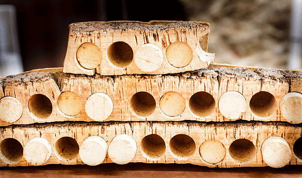 Tubage des bouchons en liège naturel en usine