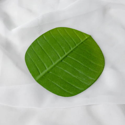 Banana Leaf Coaster (6 Pack) - Realistic Artificial Flowers and Greenery