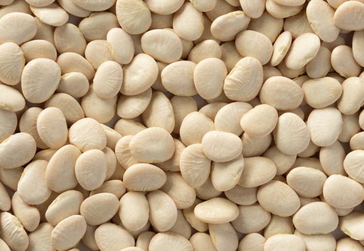 白あん 原料