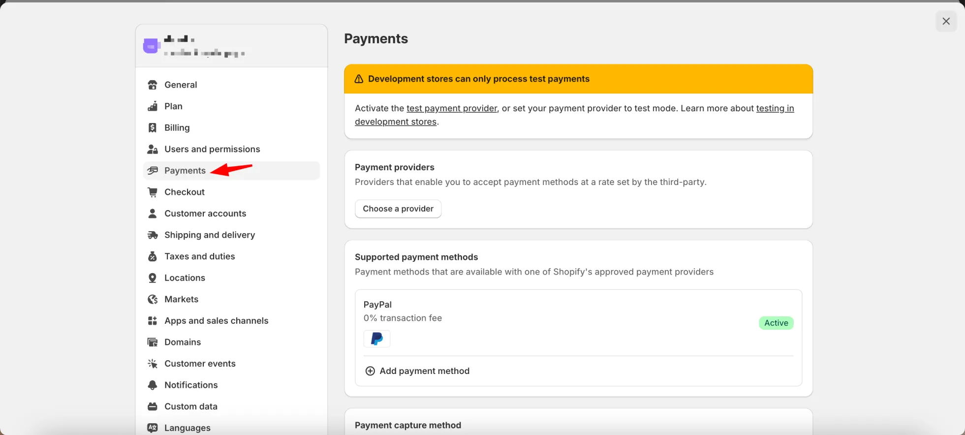 Shopify payments