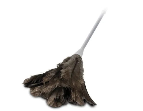 Medium Feather Duster