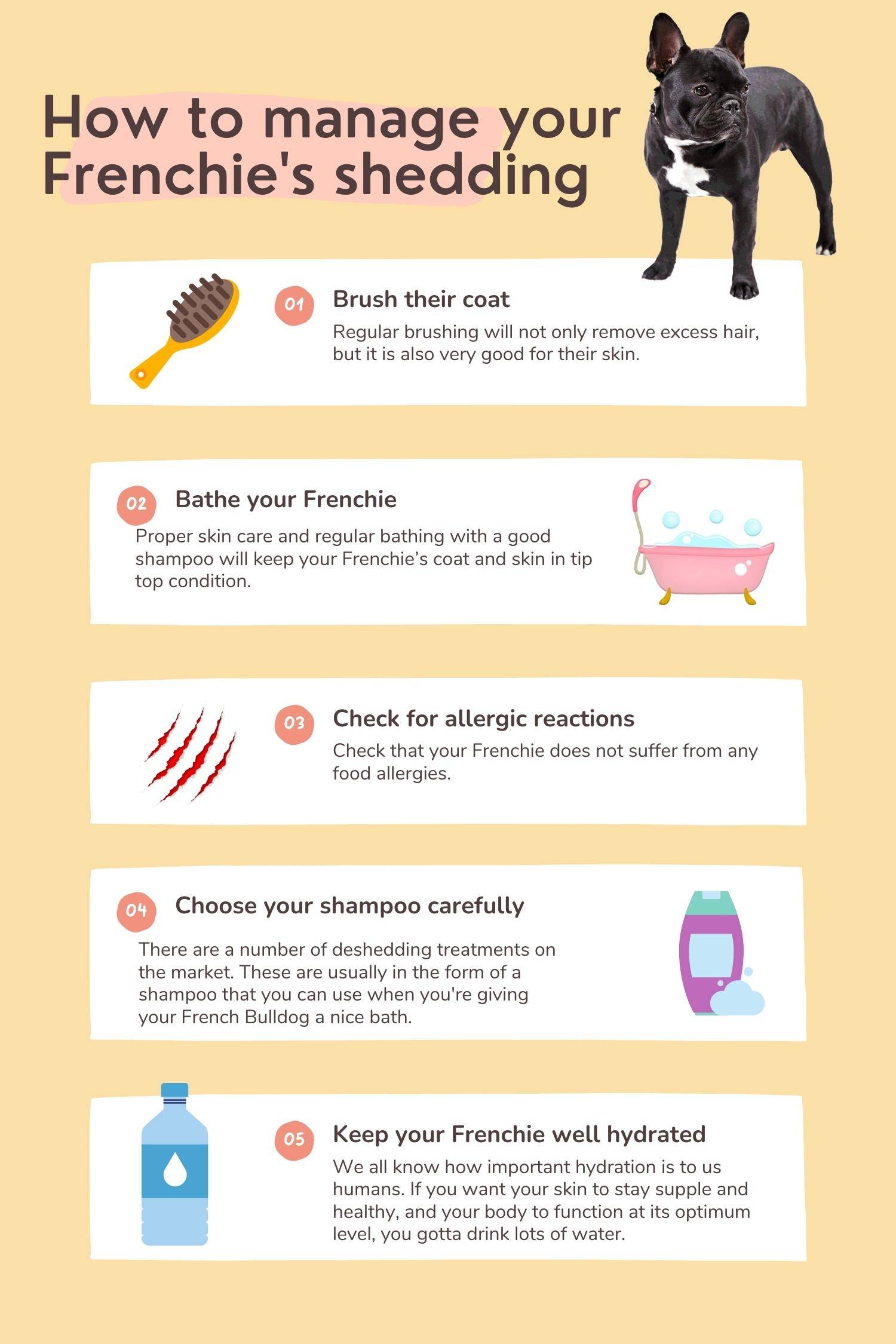 how to prevent french bulldog shedding