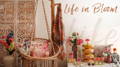 A display of spring-related products, like bird feeders and a hanging bird bath