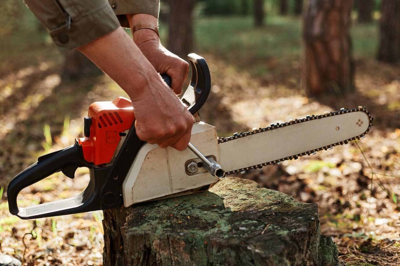 Chainsaw power tool for wood 009