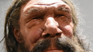 Main Content Image