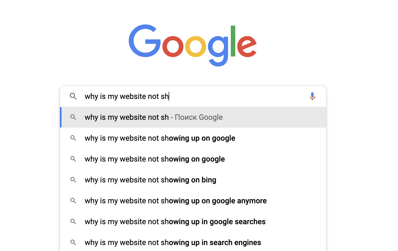 The Google search input