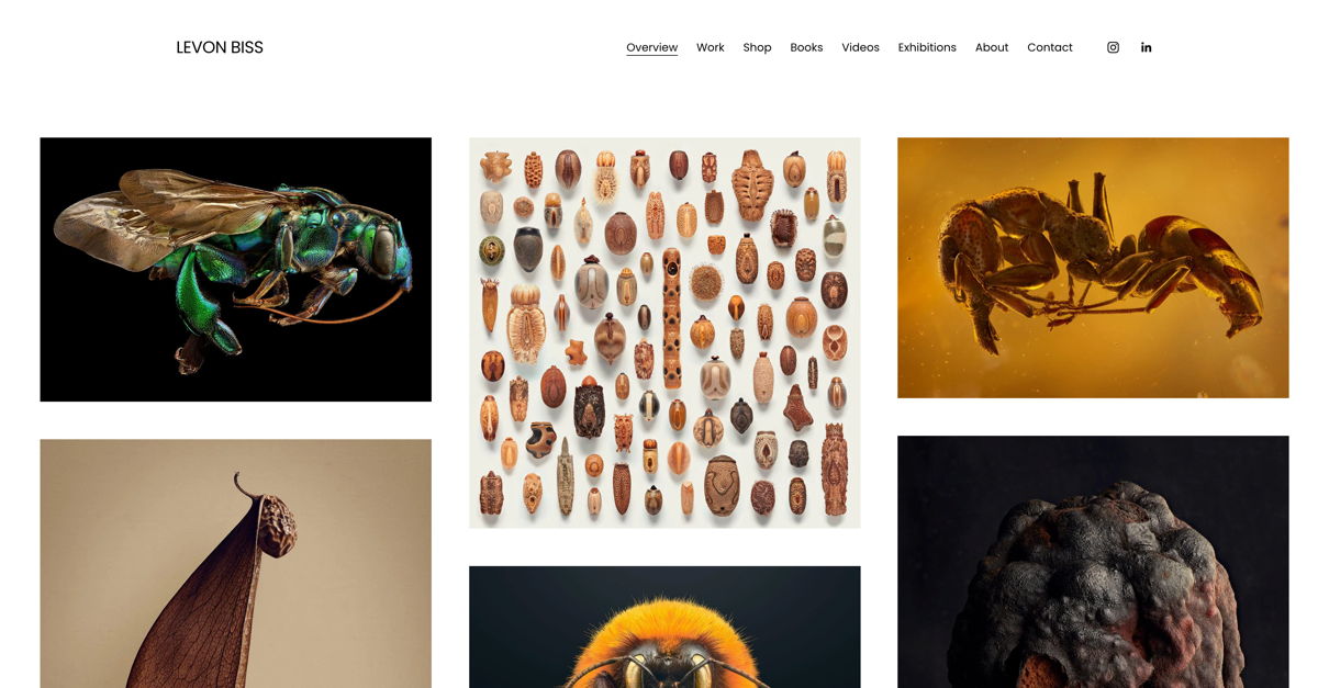 Screenshot of Levon Biss, from the photography websites collection.