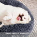 Camas para perros