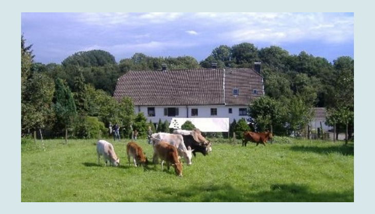 Kindergeburtstag Bauernhof Nrw Ausflugsziele Freizeitangebote