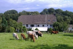 Kindergeburtstag Auf Dem Bauernhof Gut Halfeshof