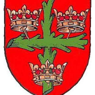 Colchester and East Essex Cricket Club Logo