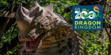 Dragon Kingdom: June Family Night promotional image