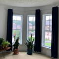 dark blue velvet curtains in a living room