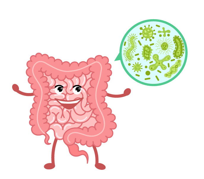 The Carnivore Diet for Gut Health & Autoimmunity -