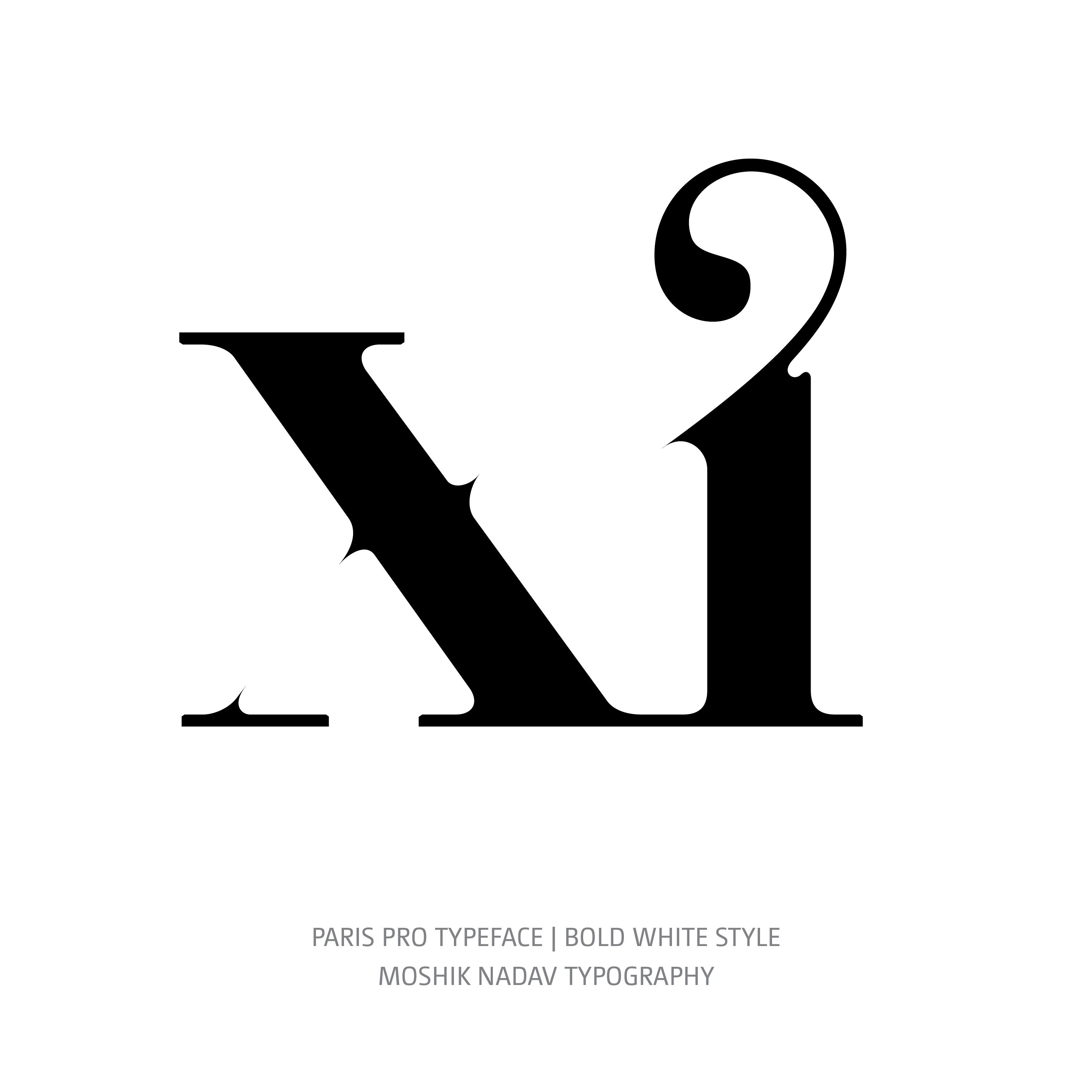 Paris Pro Typeface Bold White xi ligature