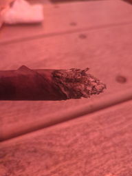 Cigar Session Photo