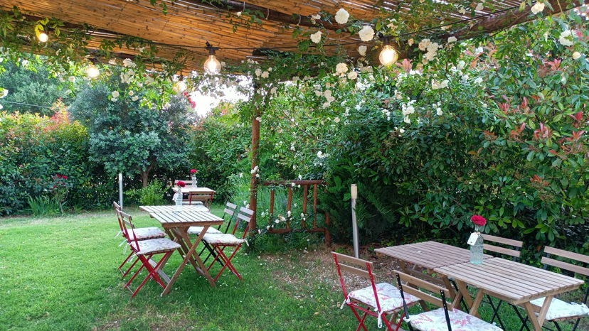 Home restaurants Pisciotta: Culling experience in a Cilento garden
