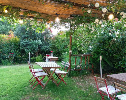 Food experiences Pisciotta: Culling experience in a Cilento garden