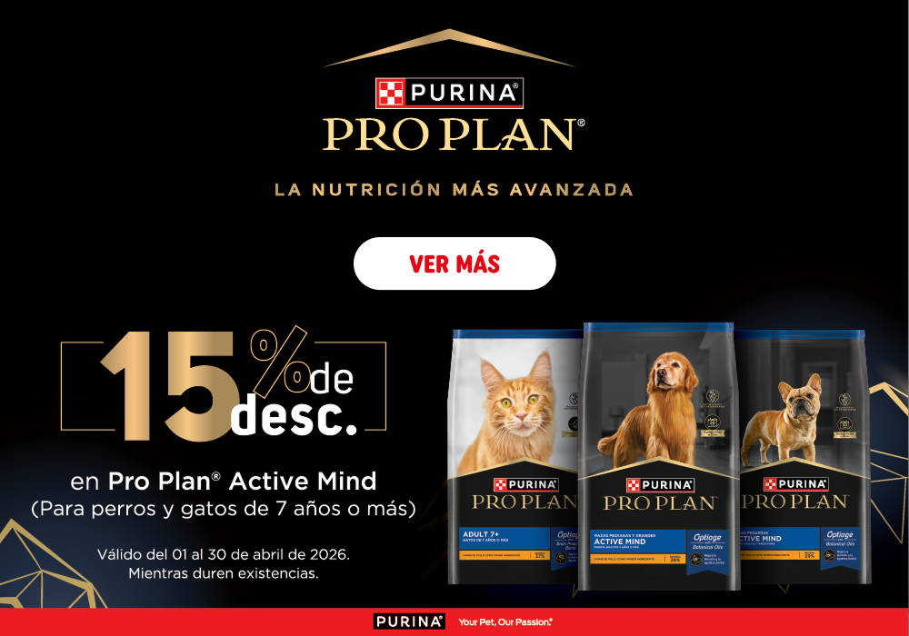 zignature - energía real para su día a día