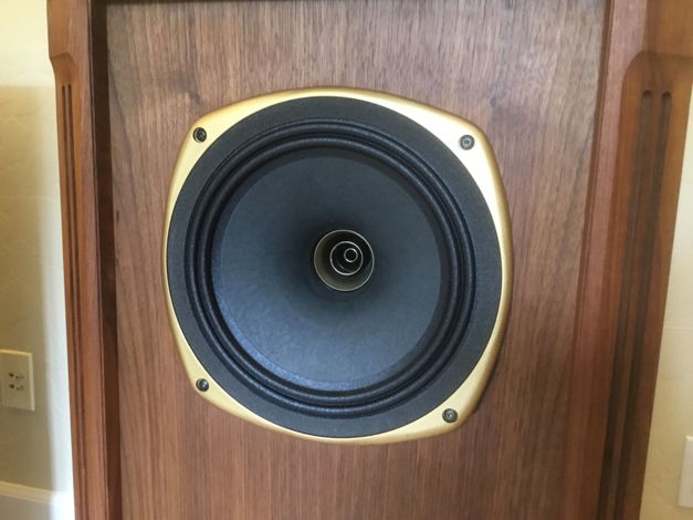 Tannoy Turnberry SE Mint condition
