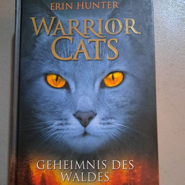 Warrior Cats - Geheimnis des Waldes